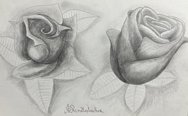 Rose dessinée au crayon de papier, Tutoriel dessin